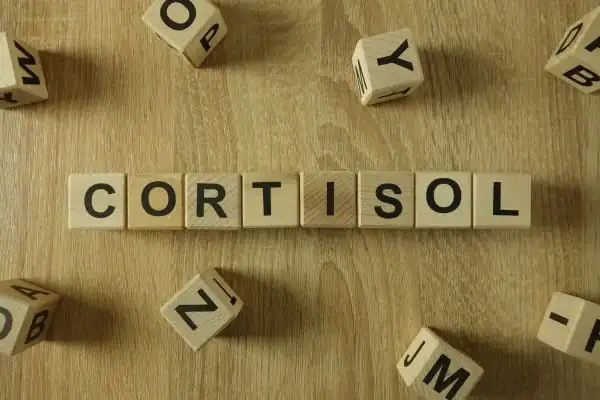 The Hidden Connection: How Stress Shapes Your Fitness and Body Composition 2 Image saying "Cortisol" and how stress Shepperton Green impacts your wellbeing and bodies shape